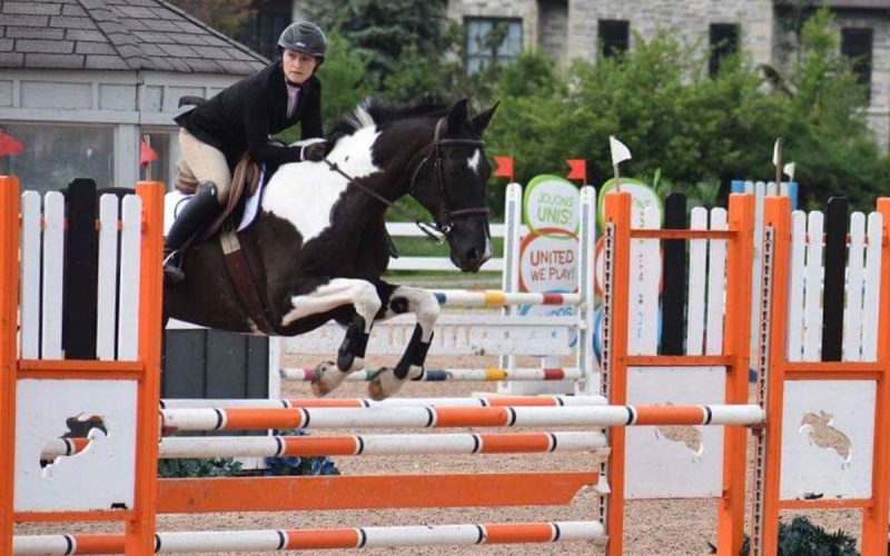 Horses for Part Board Compass Equestrian Roz Bimm